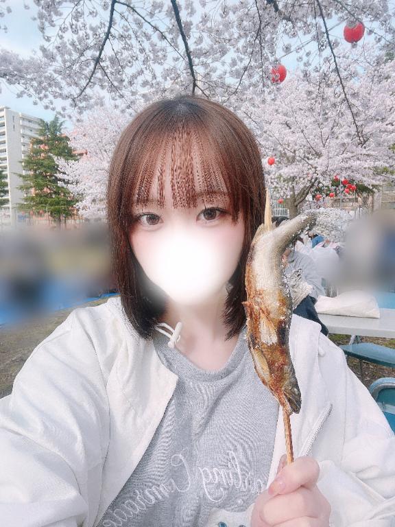 満開の桜🌸🌸