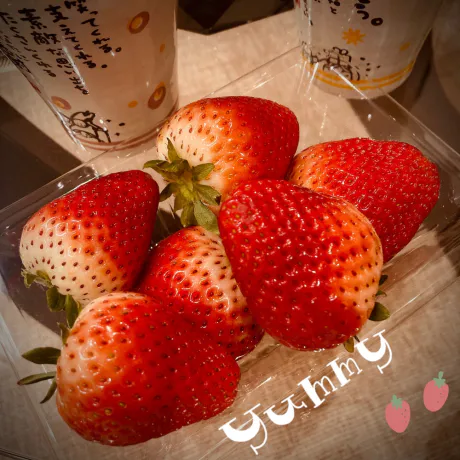 ばれんたいん /さやか