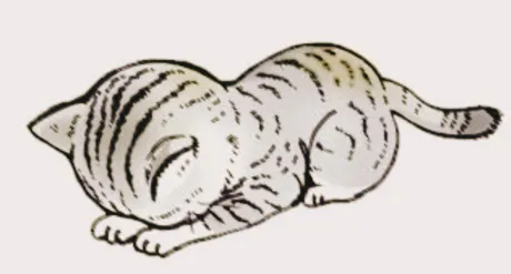 🥲お休みのお知らせ🥲/さな【弘前黒石大釈迦】