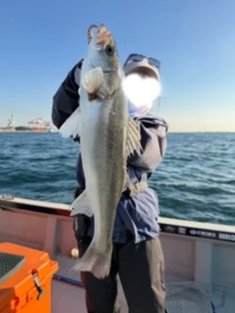 ツムギ【青森】身体弄んでみる？DINO～ディーノ～