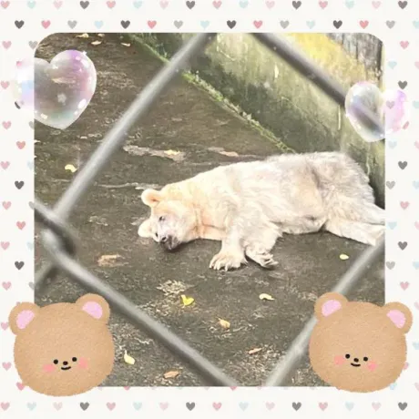 しずく🩵🪽