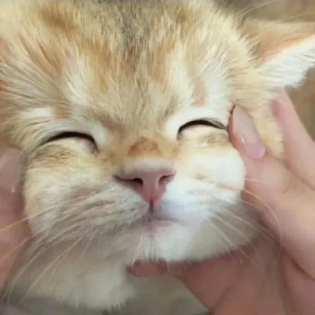 みんな何してる~?