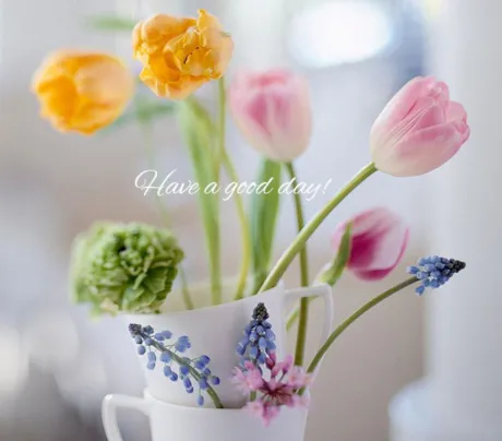 おはようございます/ゆりか