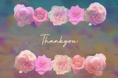 こんばんは 🌙* : ゜ /ほのか[弘前/大釈迦]