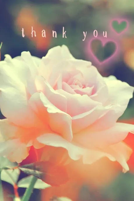 お礼💌/☆ひとみ奥様