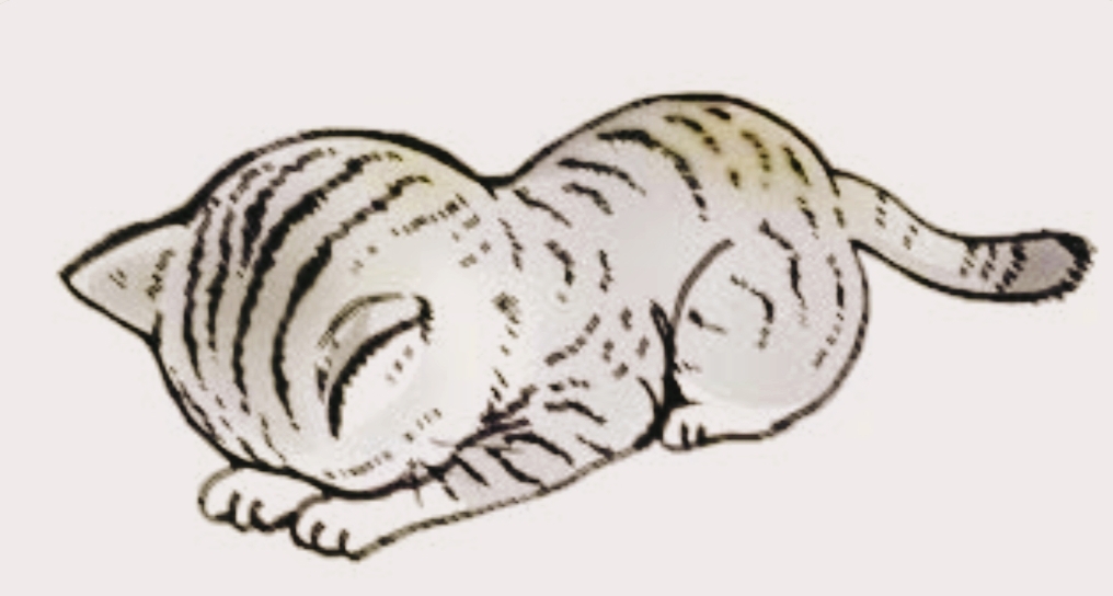 🥲お休みのお知らせ🥲/さな【弘前黒石大釈迦】