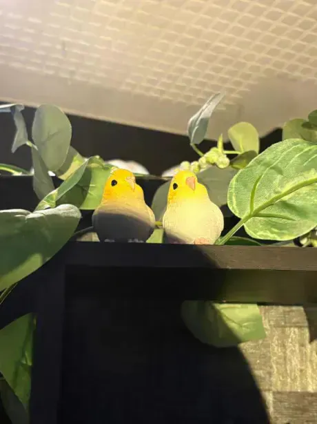 あず奥様メモリアル
