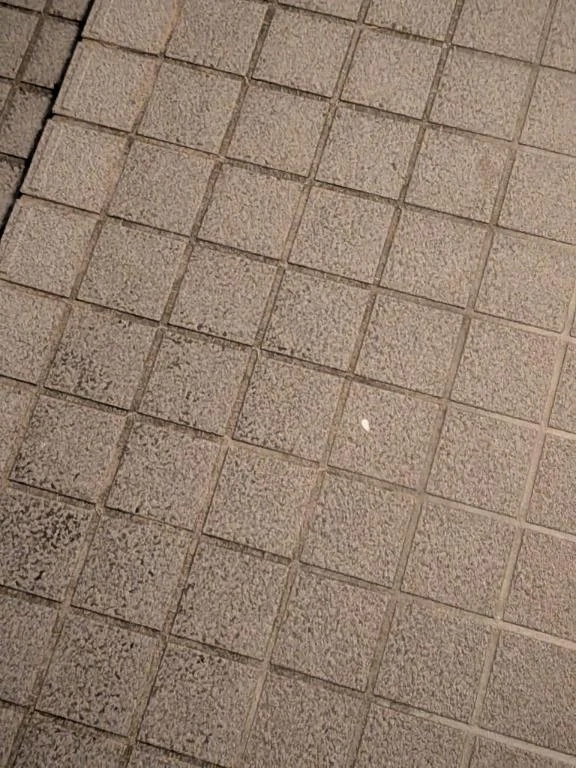 筒鳥ご自宅にて