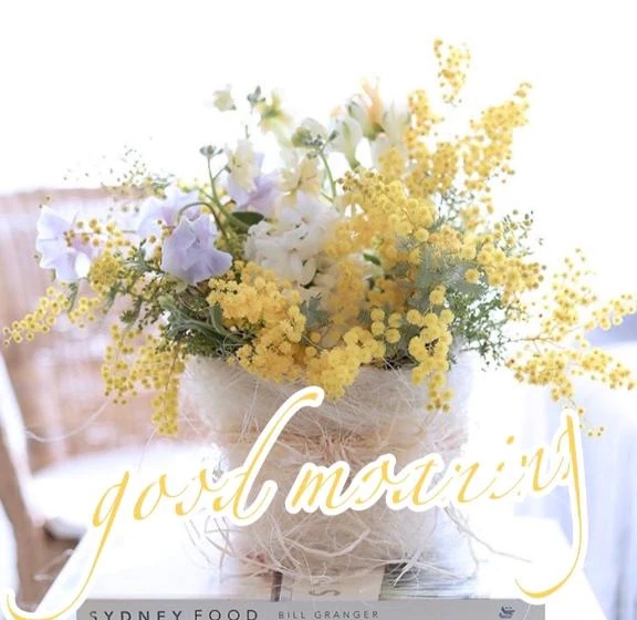 春の気配(｡•ᴗ•｡)♡🌸