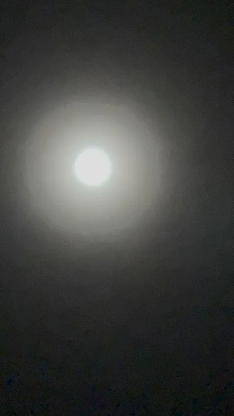 ミサキのブログ オキニトークの返事