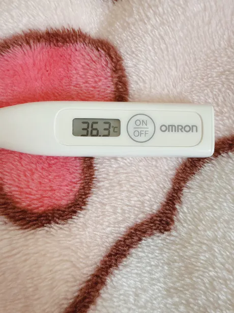 春は短し恋せよ男子/ことみ【弘前黒石】