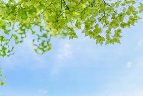 賞味期限切れあいらぶゆー/ことみ【弘前黒石】