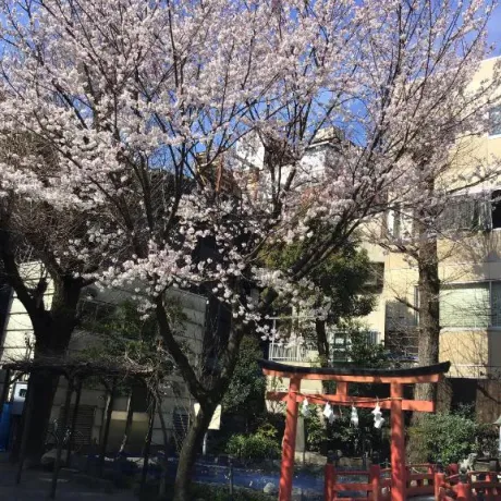 のぞみ★アナル調教師隣の人妻お口で愛して