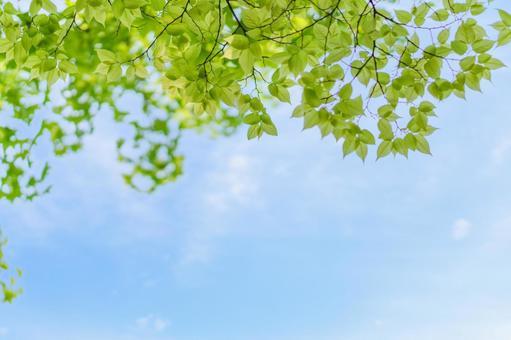 ことみ【本日限定青森】のブログ 賞味期限切れあいらぶゆー