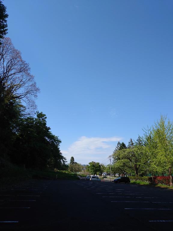 お礼です