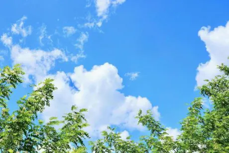 後半戦/ことみ【弘前黒石】