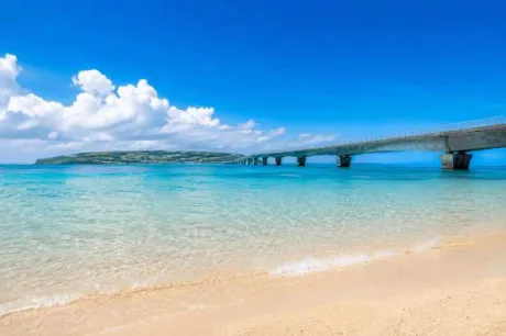 あんずのブログ おはようございます☀️