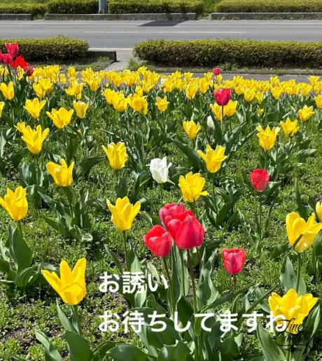出勤します/加藤(かとう)
