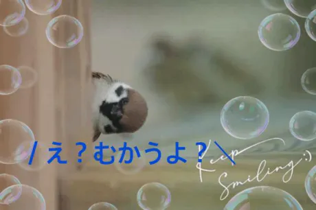 みずほ　奥様SUTEKIな奥様は好きですか？