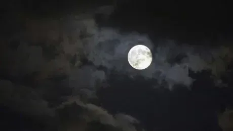 あず奥様メモリアル