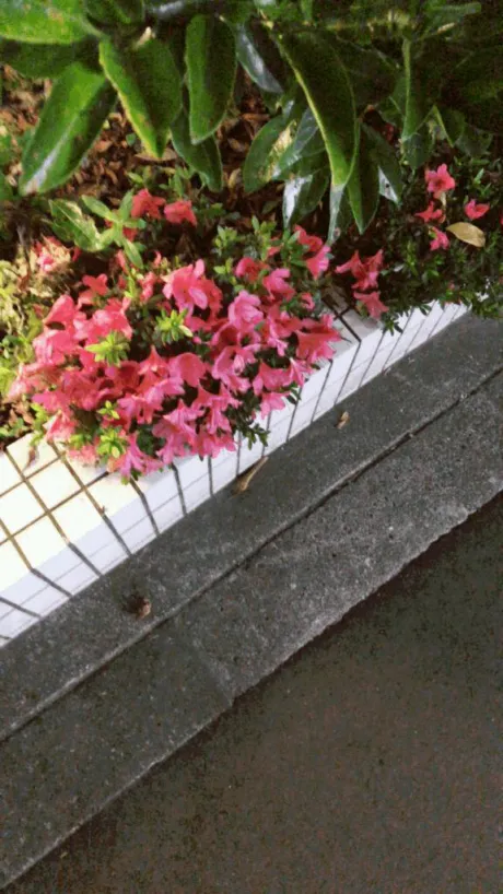 ありがとう😊/まお