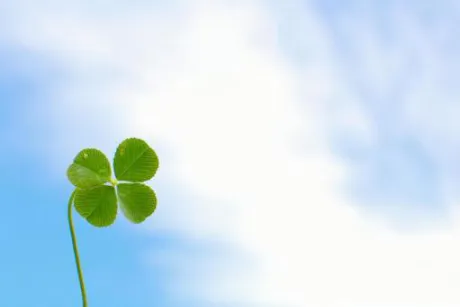 玉手箱/ことみ【弘前黒石】