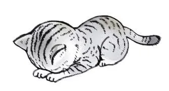 ひまりのブログ ごめんなさい😢
