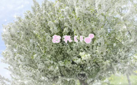 あみ 3/1体験入店弘前黒石ちゃんこ