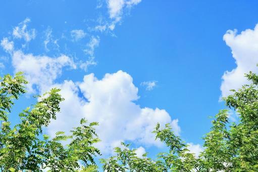 後半戦/ことみ【本日限定青森】