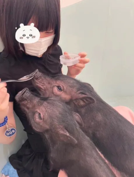 つむぎロイヤルクラブ