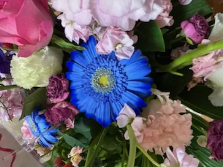 東条 いちかELEGANCE