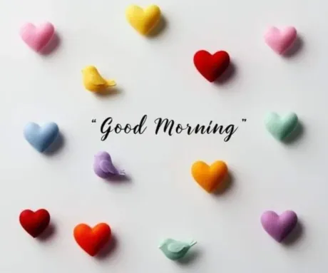 爽やかな朝/ゆりか