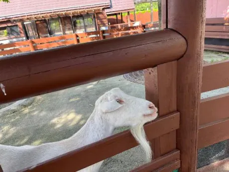 愛海-あいみ-人妻倶楽部　花椿盛岡店