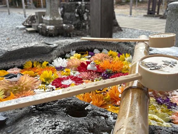 お天気良くて🎶☀️☀️☀️