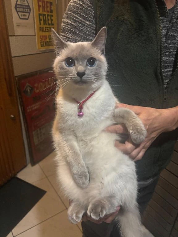 お客様との想い出📷💭🐱