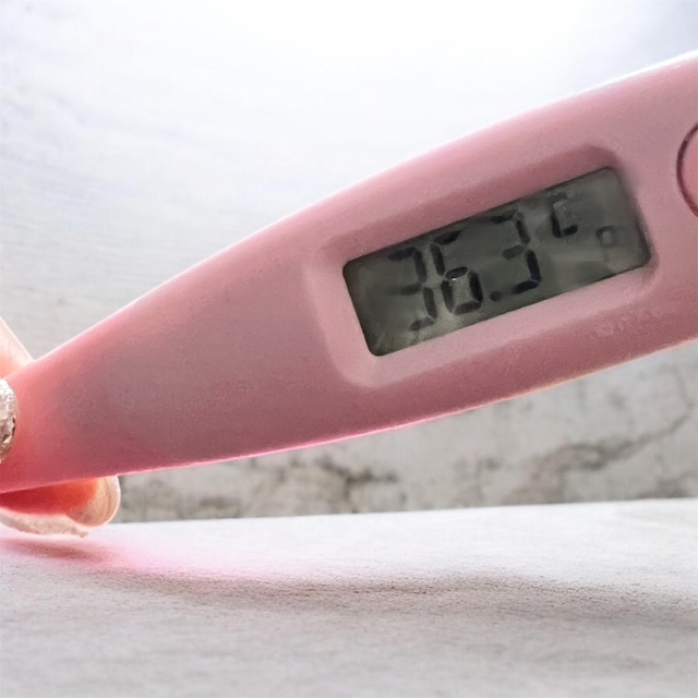 おはようございます