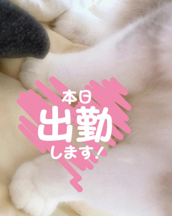 本日出勤します！