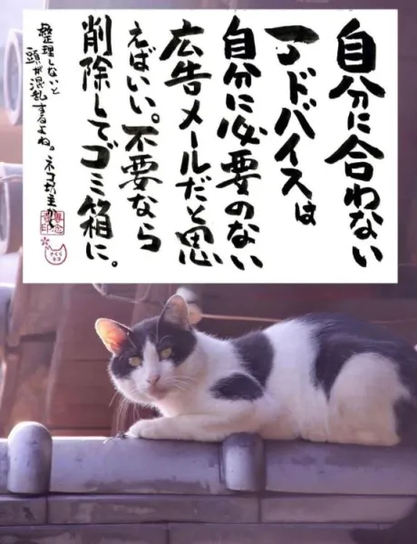 シオン人妻生レンタルーNTRー