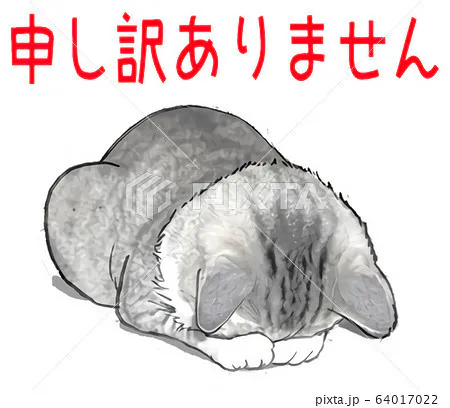 ごめんなさい 🙇🙇