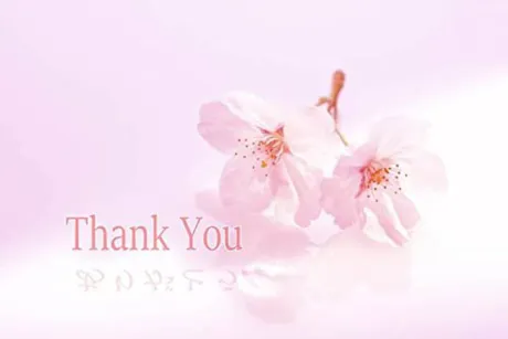 お礼/はるな【青森大釈迦】