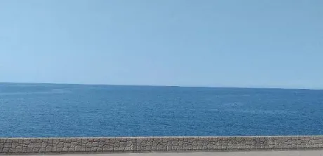 ありがとう