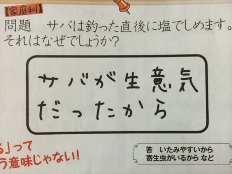 シオリのブログ 鯖の話
