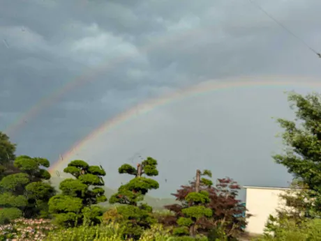 しょうこのブログ W レインボー🌈🌈✨️