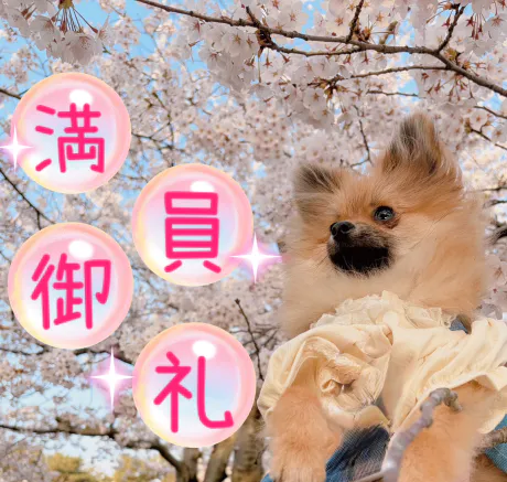 このあとすぐ～゜