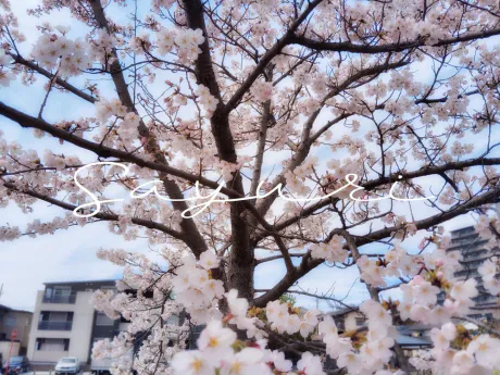 5 月前半 🌿/さゆり