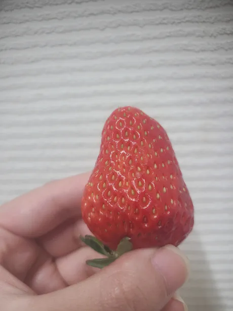 シノKI-RE-I