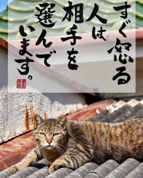 シオン人妻生レンタルーNTRー