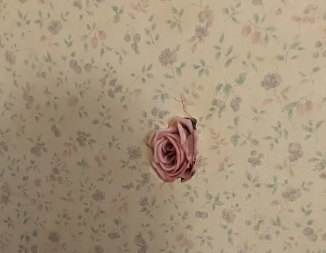 お疲れ様です/ももは