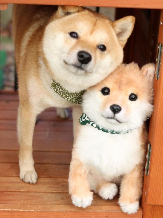 こんばんは ( * ・ω・) ノ/なお