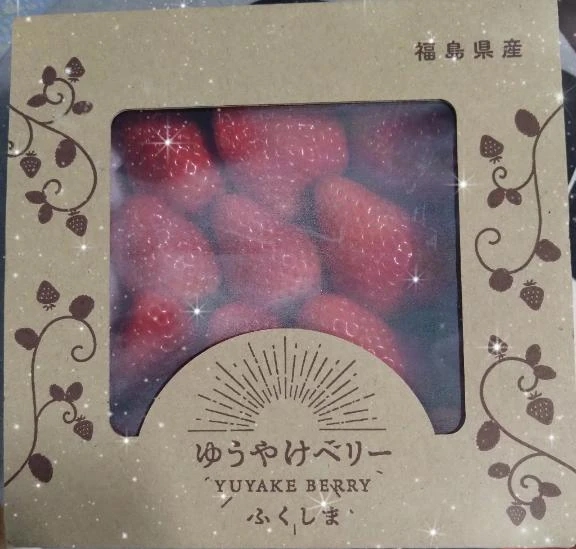 島田(しまだ)のブログ 先日は